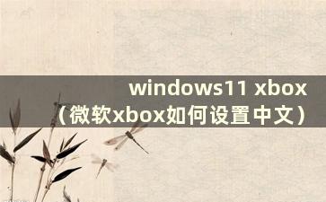 windows11 xbox（微软xbox如何设置中文）